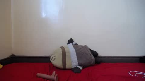 popetykely00 online show from February 2025 08:38:01 AM