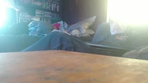 porkingit400 online show from May 2026 12:57:02 PM