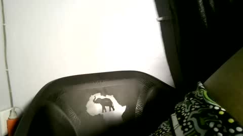 Snapshot of posh_studio1 chatting on April 2026 03:48:01 AM luna online show from April 2026 03:48:01 AM