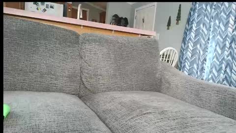 powerstroke345 online show from March 2026 04:15:01 PM