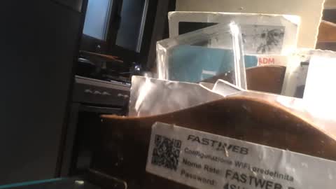 predator19491 online show from April 2026 08:07:02 AM