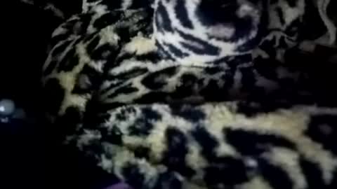 Snapshot of prettyimaa chatting on January 2025 08:19:01 AM prettyma online show from January 2025 08:19:01 AM