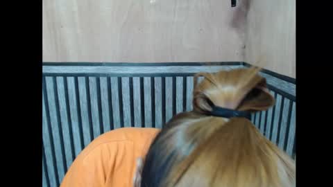 Snapshot of prettykate_04 chatting on November 2025 06:08:01 PM Kate online show from November 2025 06:08:01 PM