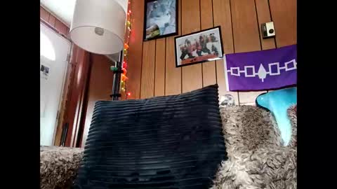 prettysolid7 online show from January 2026 06:46:02 PM