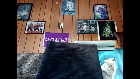 prettysolid7 online show from February 2026 02:09:01 PM