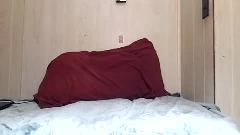 prettysolidd7 online show from December 2024 08:52:01 AM