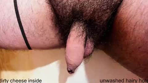 Snapshot of prettyvelludo chatting on November 2025 10:35:02 AM HAIRY GOD online show from November 2025 10:35:02 AM