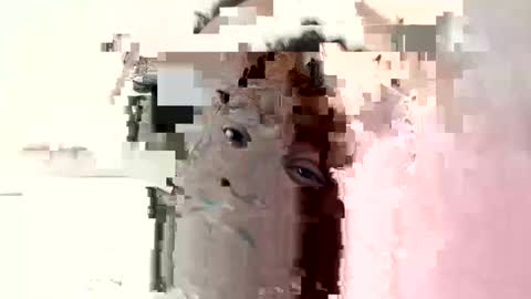 Princess Asshole online show from October 2025 10:45:01 AM