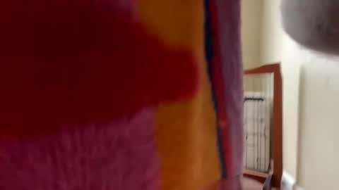 Snapshot of princechas chatting on March 2026 03:31:01 PM PrinceChas online show from March 2026 03:31:01 PM