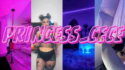 Snapshot of princess_cece chatting on December 2024 01:13:01 AM Cece NEXT LIVESTREAM -- DEC. 4th 7 PM CST online show from December 2024 01:13:01 AM