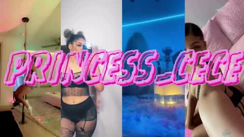 Snapshot of princess_cece chatting on January 2025 12:48:02 AM Cece NEXT LIVESTREAM -- DEC. 4th 7 PM CST online show from January 2025 12:48:02 AM