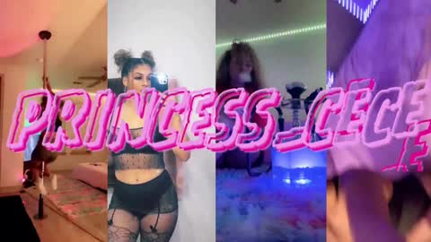 Snapshot of princess_cece chatting on January 2025 12:59:01 AM Cece NEXT LIVESTREAM -- DEC. 4th 7 PM CST online show from January 2025 12:59:01 AM