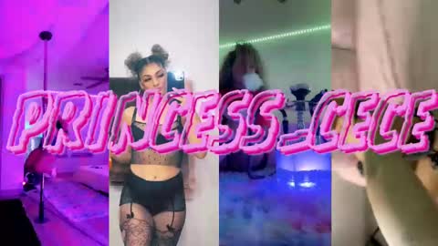 Snapshot of princess_cece chatting on February 2025 12:58:02 AM Cece NEXT LIVESTREAM -- DEC. 4th 7 PM CST online show from February 2025 12:58:02 AM