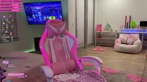 Snapshot of princess_cece chatting on February 2025 04:01:02 AM Cece NEXT LIVESTREAM -- DEC. 4th 7 PM CST online show from February 2025 04:01:02 AM