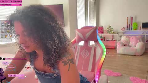 Snapshot of princess_cece chatting on February 2025 04:39:02 PM Cece NEXT LIVESTREAM -- DEC. 4th 7 PM CST online show from February 2025 04:39:02 PM