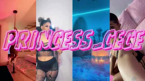 Snapshot of princess_cece chatting on February 2025 03:42:01 AM Cece NEXT LIVESTREAM -- DEC. 4th 7 PM CST online show from February 2025 03:42:01 AM