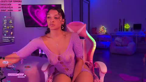 Snapshot of princess_cece chatting on February 2025 04:07:02 AM Cece NEXT LIVESTREAM -- DEC. 4th 7 PM CST online show from February 2025 04:07:02 AM