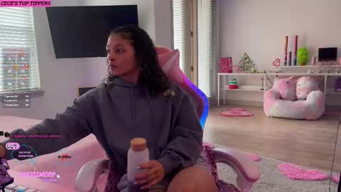 Snapshot of princess_cece chatting on March 2025 07:43:02 PM Cece NEXT LIVESTREAM -- DEC. 4th 7 PM CST online show from March 2025 07:43:02 PM