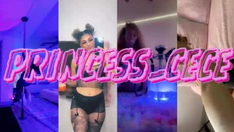 Snapshot of princess_cece chatting on November 2025 02:13:01 AM Cece NEXT LIVESTREAM -- DEC. 4th 7 PM CST online show from November 2025 02:13:01 AM