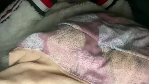 Snapshot of princessoftenis44 chatting on March 2025 07:14:02 AM princessoftenis44 online show from March 2025 07:14:02 AM