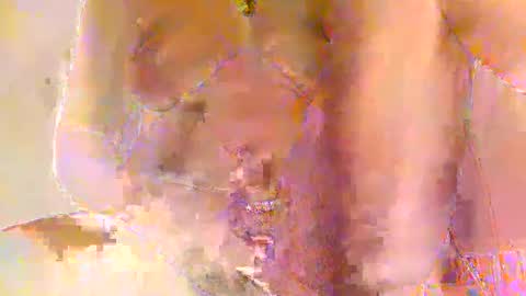 Snapshot of prisiclia chatting on February 2026 04:34:02 AM Priscilla online show from February 2026 04:34:02 AM