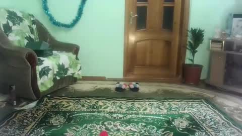 proud sweet 21 online show from January 2025 09:47:01 PM