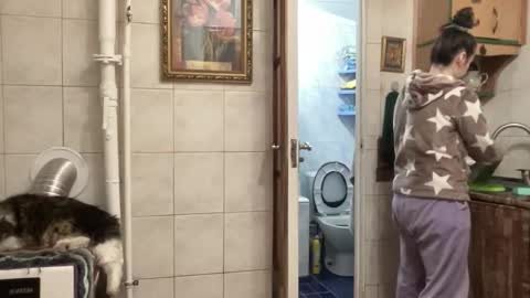 proud sweet 21 online show from February 2026 11:47:01 PM