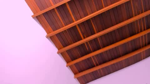 Snapshot of pscis_69 chatting on December 2024 08:52:02 AM Mara online show from December 2024 08:52:02 AM