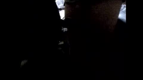 StefiTV1 online show from April 2026 03:04:02 AM