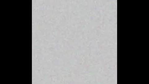 Timmy online show from October 2025 12:28:02 PM