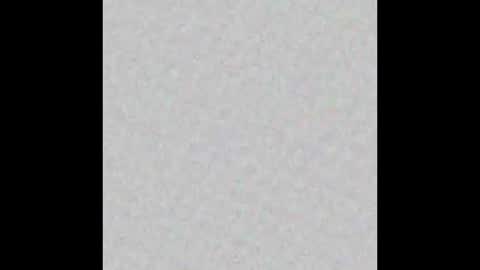 Public online show from January 2026 09:03:01 AM