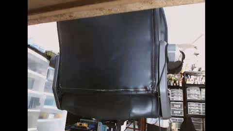 pudgy online show from November 2025 06:46:01 AM