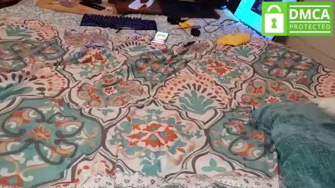 Snapshot of puertoricoparagarcia chatting on March 2026 05:22:01 AM LOVE TO GET MY ASS FUCKED online show from March 2026 05:22:01 AM