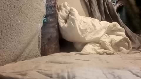 puffingoodtime8345 online show from September 2025 04:57:02 AM