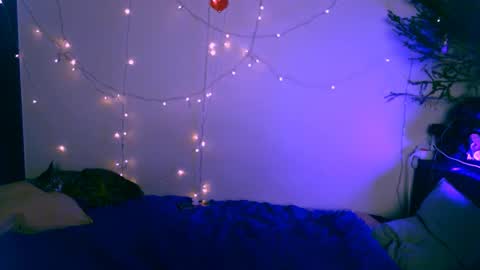 EsteticHouse online show from January 2025 04:11:01 PM