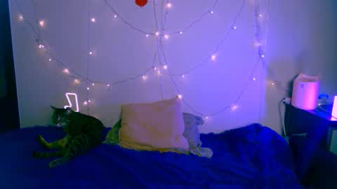 EsteticHouse online show from January 2025 05:53:01 PM