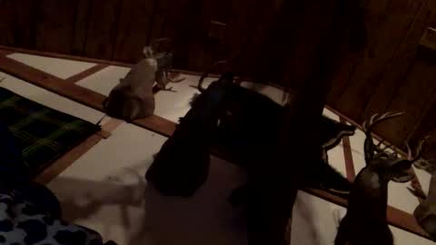 pumpslurrys online show from December 2025 05:26:02 AM