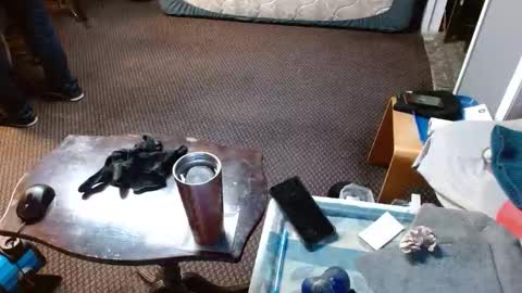 Snapshot of punkypapi chatting on April 2026 05:38:01 AM Jojo online show from April 2026 05:38:01 AM