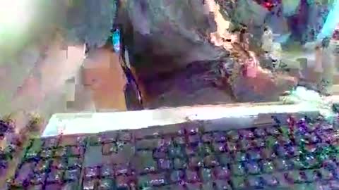 Snapshot of pup_y chatting on September 2025 03:02:01 PM pup_y online show from September 2025 03:02:01 PM