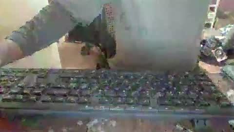 Snapshot of pup_y chatting on December 2025 06:56:01 PM pup_y online show from December 2025 06:56:01 PM