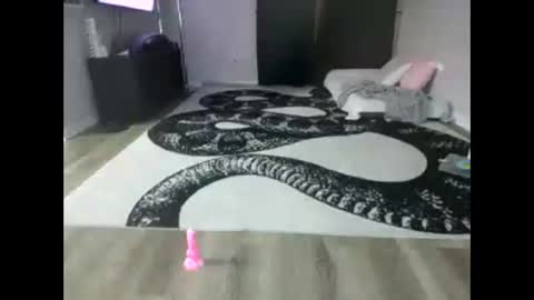 Puppynubiss online show from November 2025 02:01:02 AM