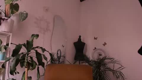 Snapshot of purple_opal chatting on August 2026 07:05:02 PM Vero online from Tuesday to Sunday online show from August 2026 07:05:02 PM
