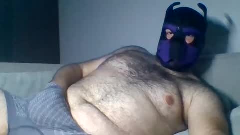 purple_pup_bear online show from August 2026 09:39:02 PM