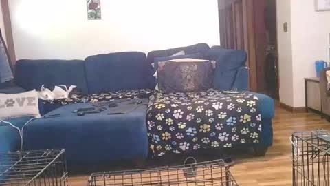 Snapshot of pussy_licker0127 chatting on October 2025 02:45:02 PM Mark online show from October 2025 02:45:02 PM