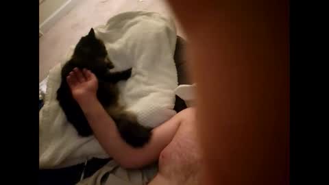 Snapshot of pussyisthreapy chatting on December 2025 06:19:01 AM Sexthreeapy online show from December 2025 06:19:01 AM