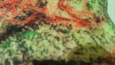 Sophy online show from February 2025 02:31:01 AM