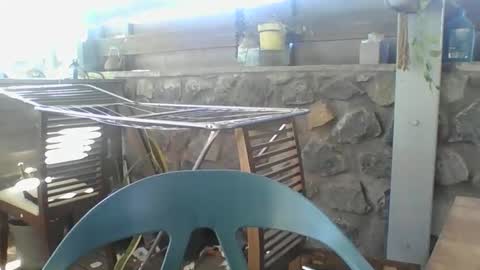 Snapshot of python974 chatting on November 2025 04:04:01 AM Python online show from November 2025 04:04:01 AM