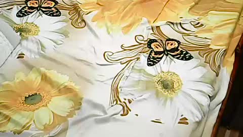 Snapshot of queen_ava05 chatting on July 2026 07:20:02 PM queen_ava05 online show from July 2026 07:20:02 PM