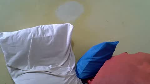 Gentrix online show from February 2026 11:51:01 AM