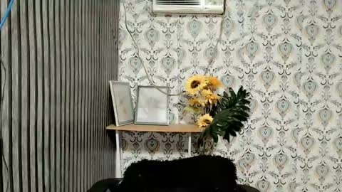 JOY online show from February 2025 06:02:02 PM